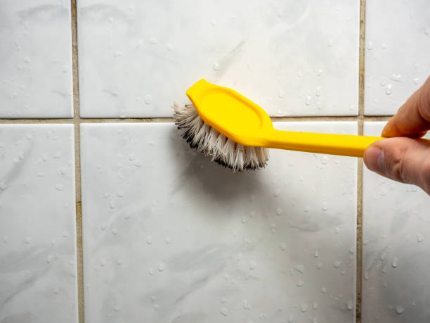 Best Commercial Mold Removal  in Linden, MI