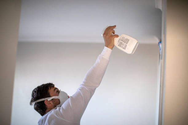Best Commercial Mold Removal  in Linden, MI