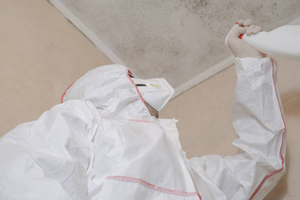Best Mold Removal Company Near Me  in Linden, MI