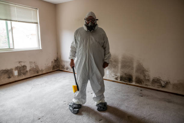 Best Emergency Mold Removal  in Linden, MI